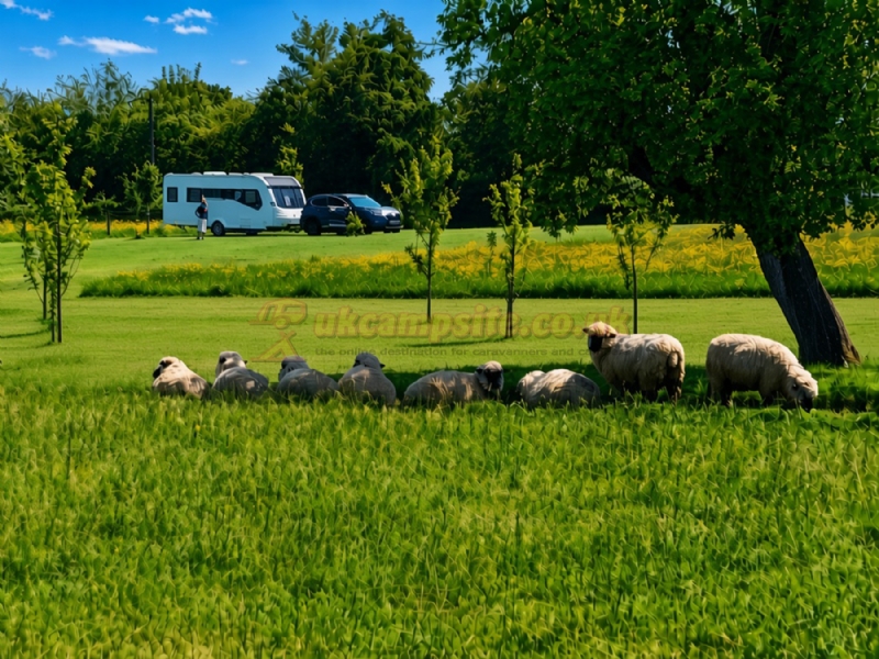 Aylton Motorhome And Caravan Site