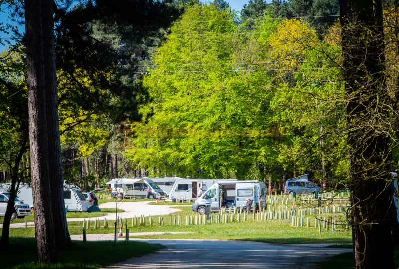 Sherwood Pines Campsite