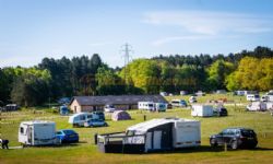 Sherwood Pines Campsite