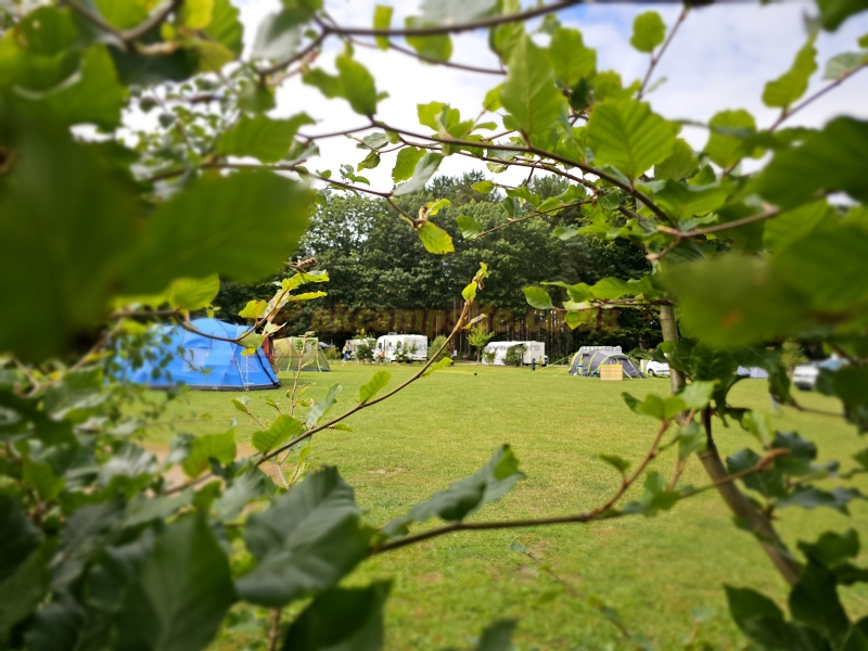Sherwood Pines Campsite