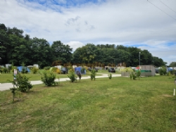 Sherwood Pines Campsite