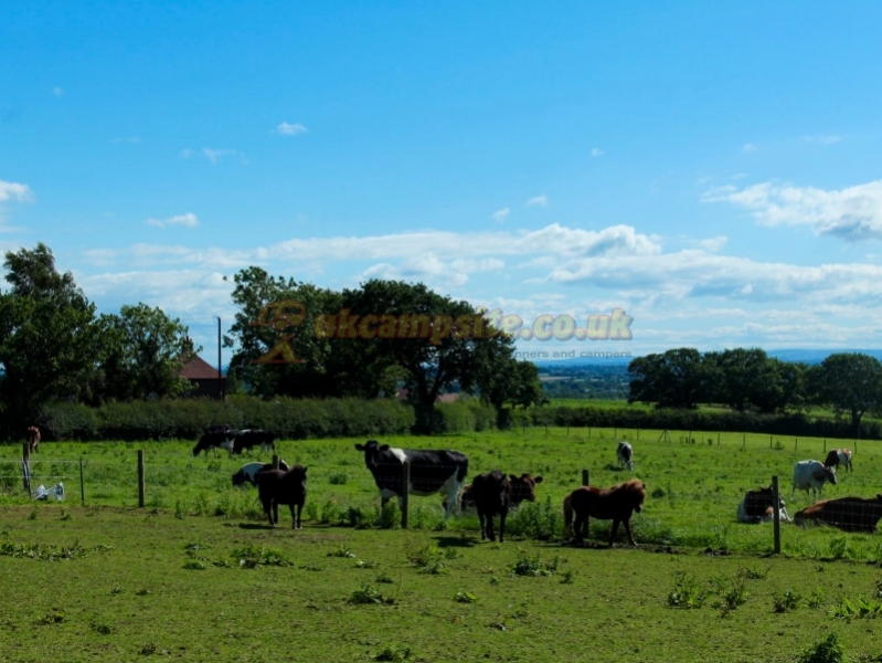 The Cheshire Lookout Certificated Site