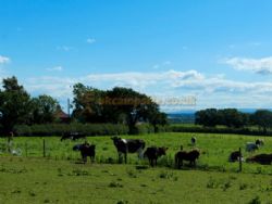 The Cheshire Lookout Certificated Site
