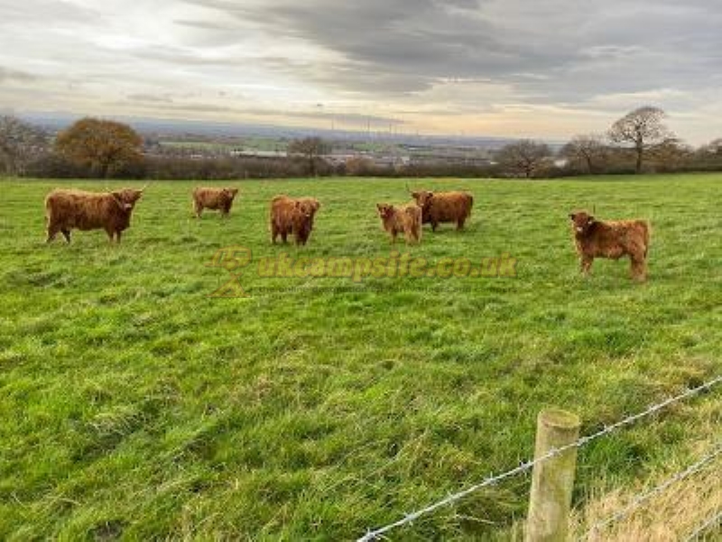 The Cheshire Lookout Certificated Site