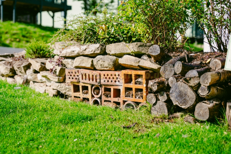 The Glen Caravan Park