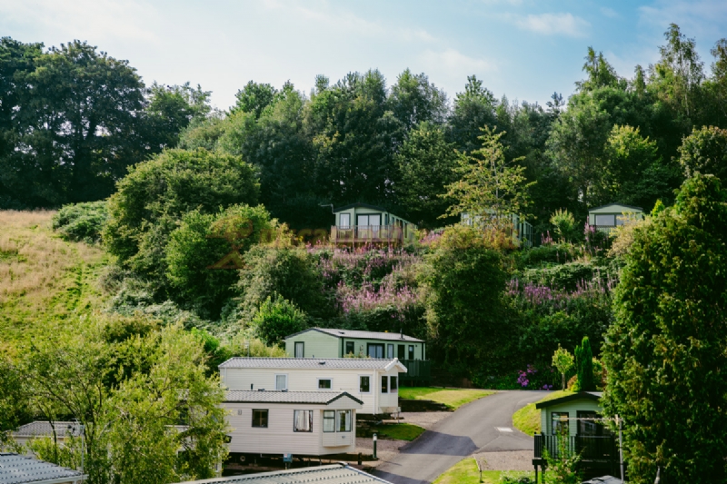 The Glen Caravan Park