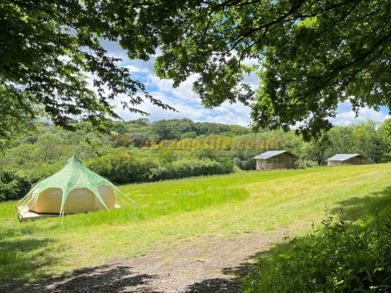 Star Field Glamping And Camping