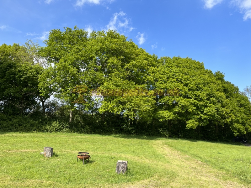 Star Field Glamping And Camping
