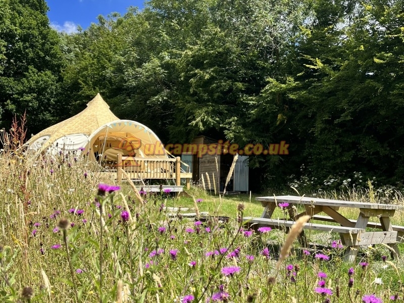 Star Field Glamping And Camping