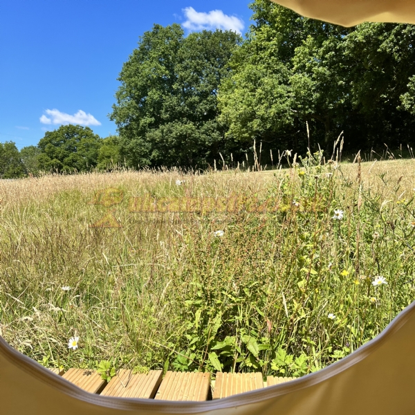 Star Field Glamping And Camping