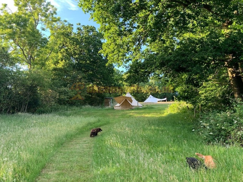 Star Field Glamping And Camping