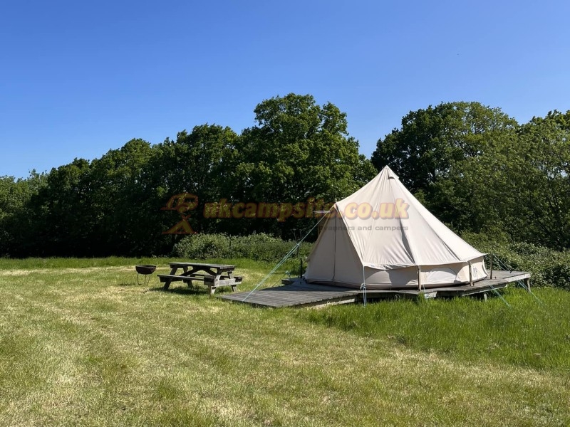 Star Field Glamping And Camping