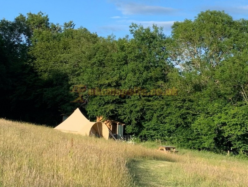Star Field Glamping And Camping