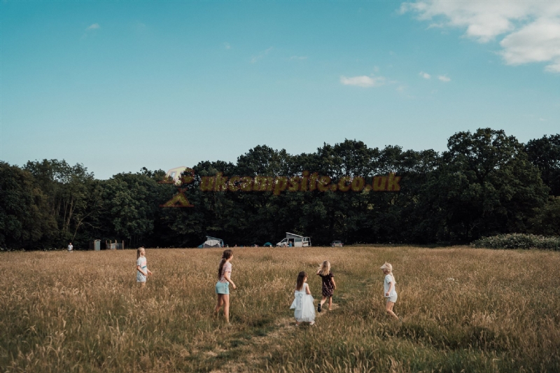 Star Field Glamping And Camping