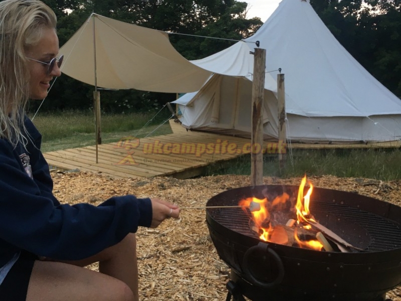 Star Field Glamping And Camping