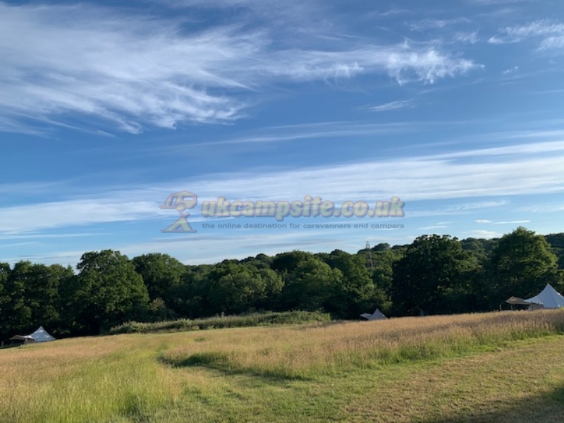Star Field Glamping And Camping