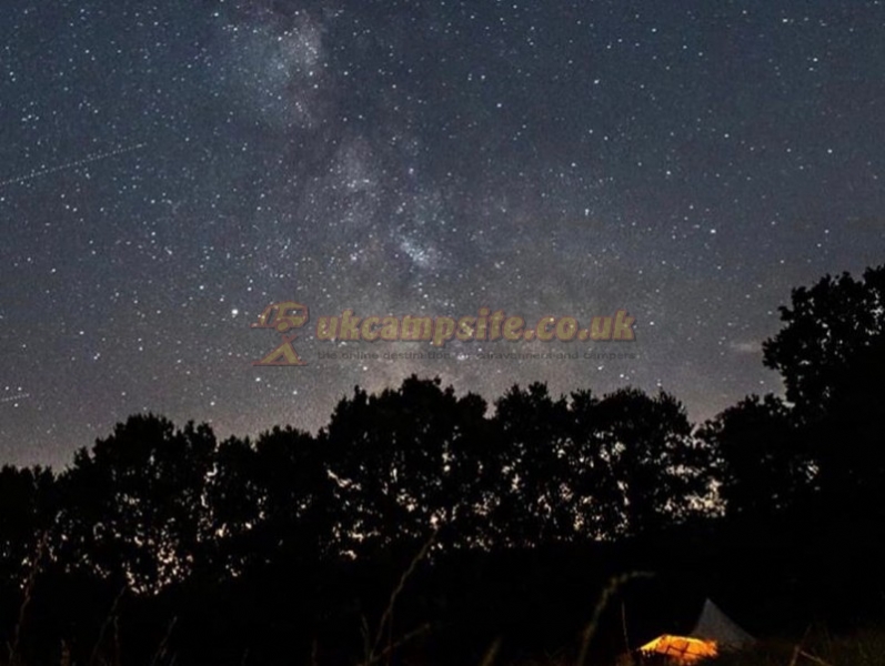 Star Field Glamping And Camping