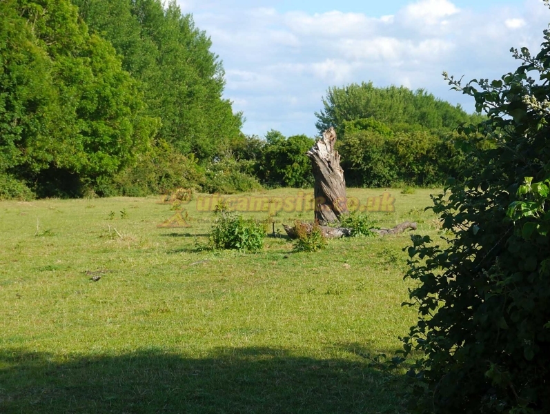 Cuckoo Fen Campsite