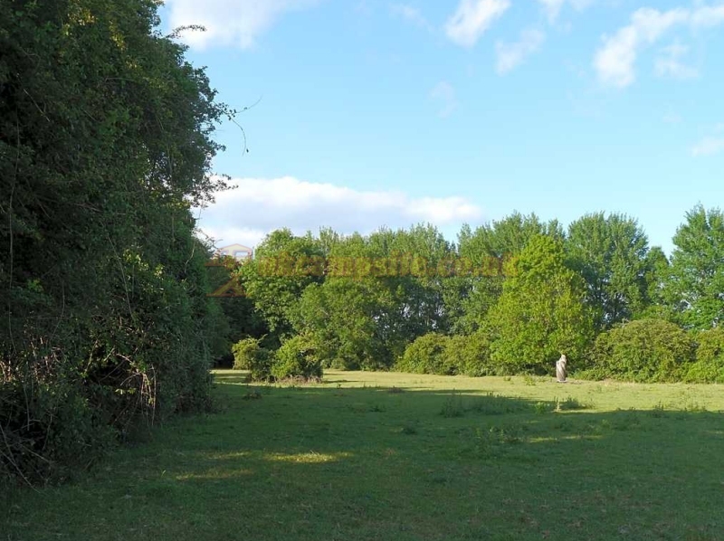 Cuckoo Fen Campsite