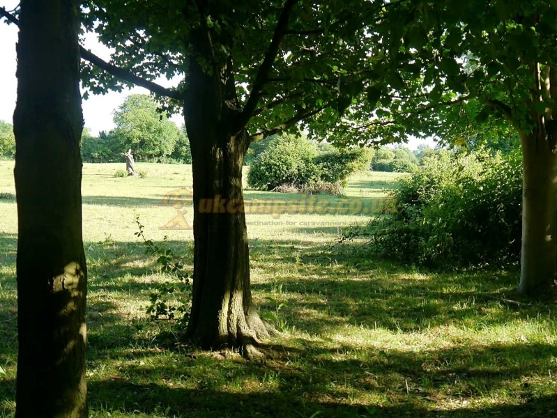 Cuckoo Fen Campsite