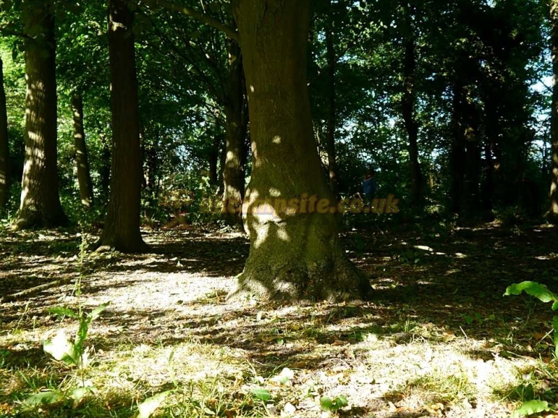 Cuckoo Fen Campsite
