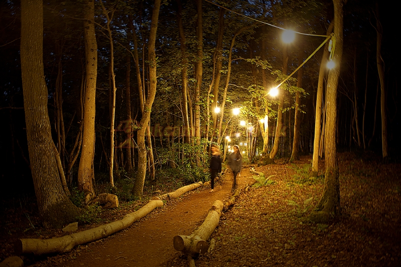 Mendip Basecamp Family Adventure Campsite
