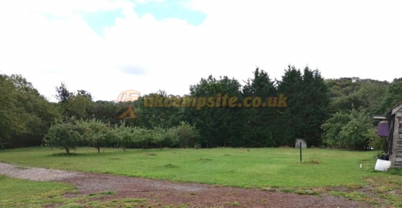 Campelderflower At Cross Lane Farm