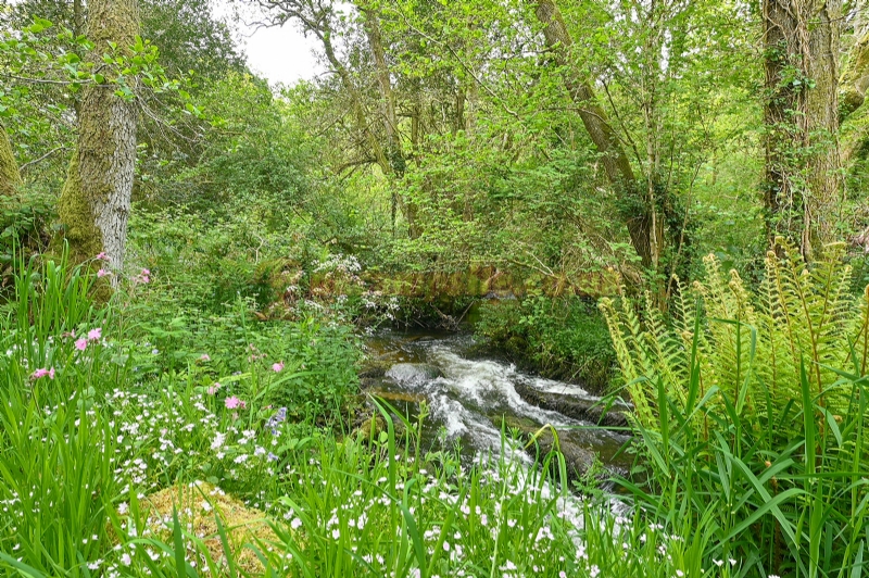 Wray Valley Camping