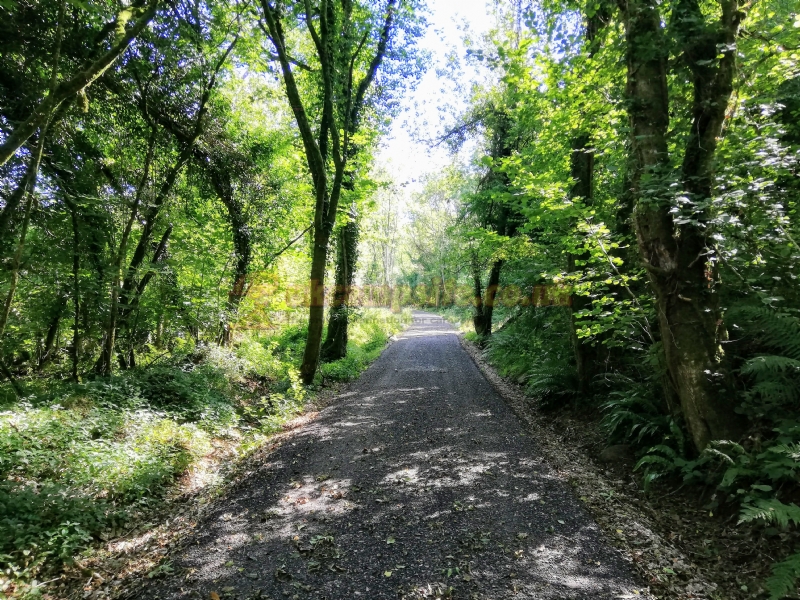 Wray Valley Camping