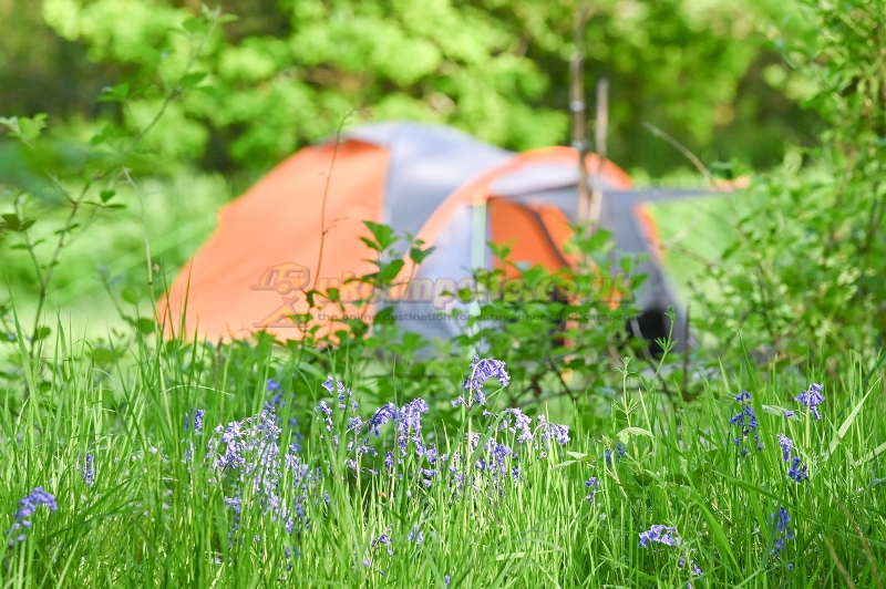 Wray Valley Camping