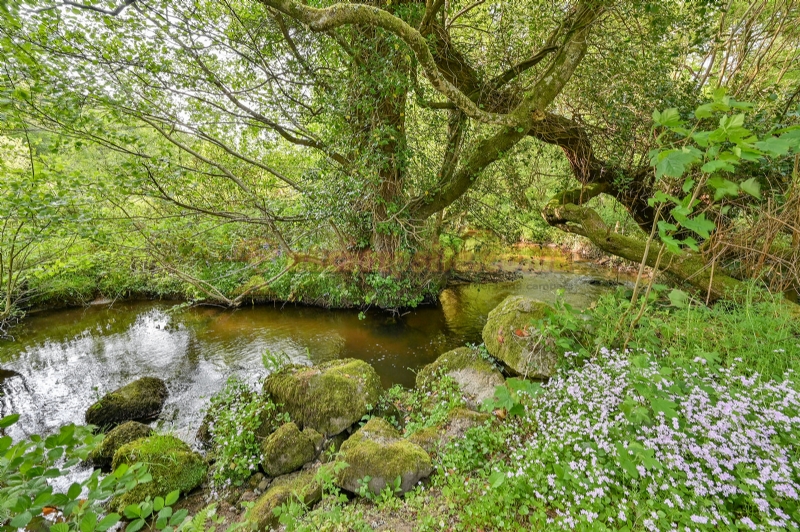 Wray Valley Camping
