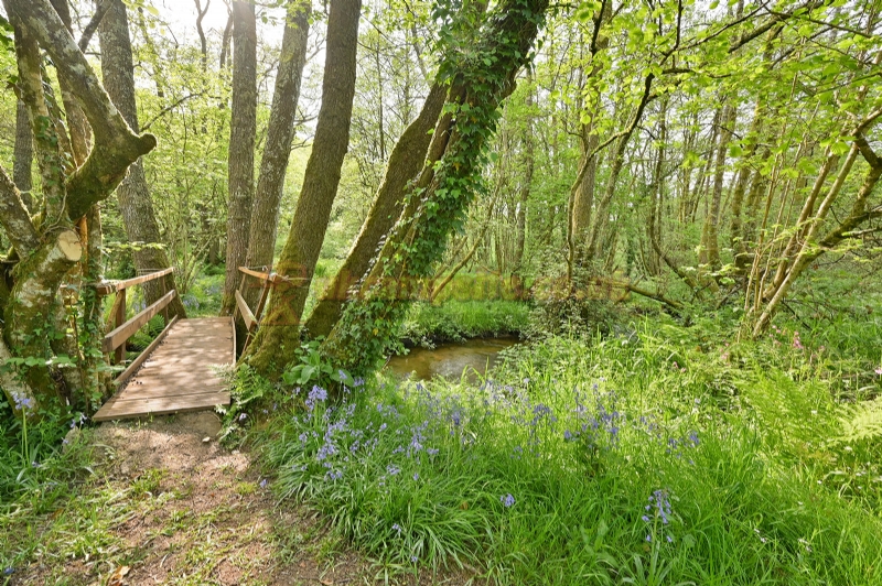 Wray Valley Camping