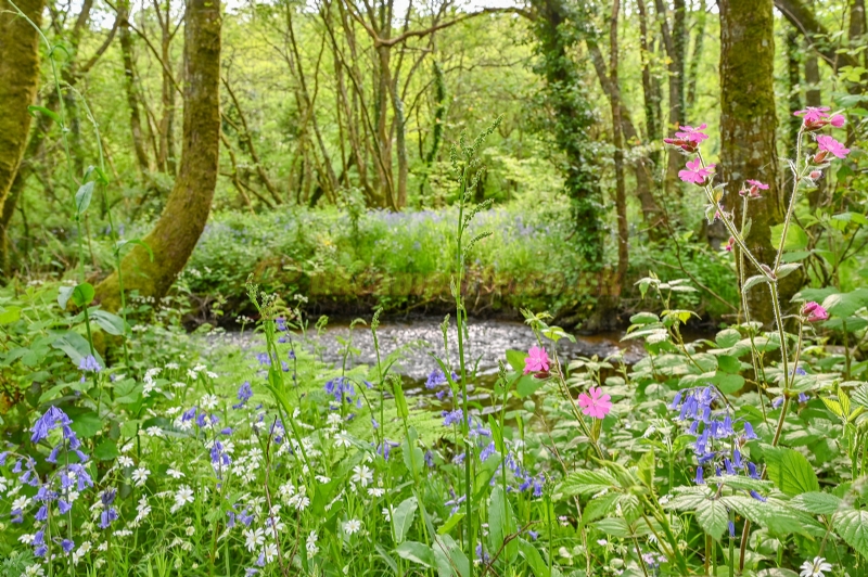 Wray Valley Camping