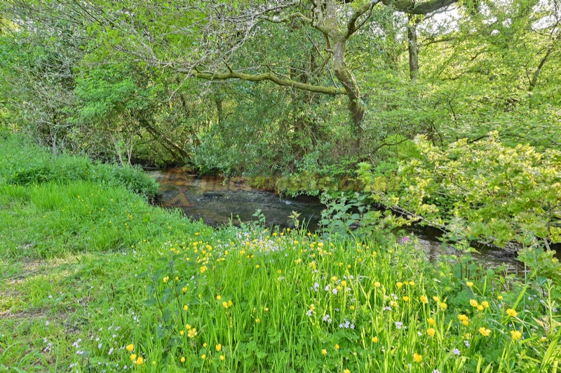 Wray Valley Camping