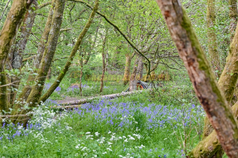 Wray Valley Camping