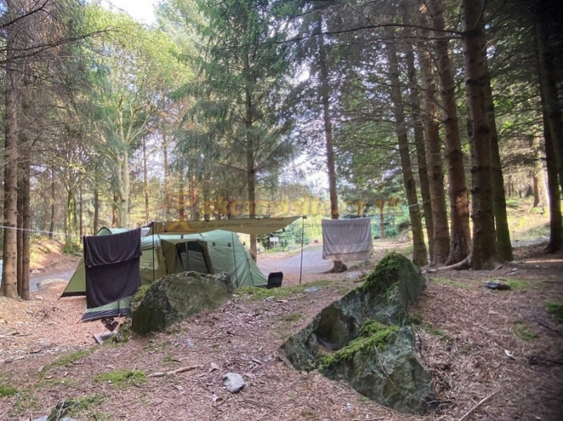 Noble Wood Camping