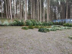 Noble Wood Camping