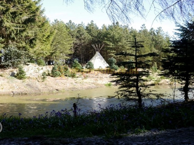 Noble Wood Camping