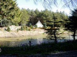 Noble Wood Camping