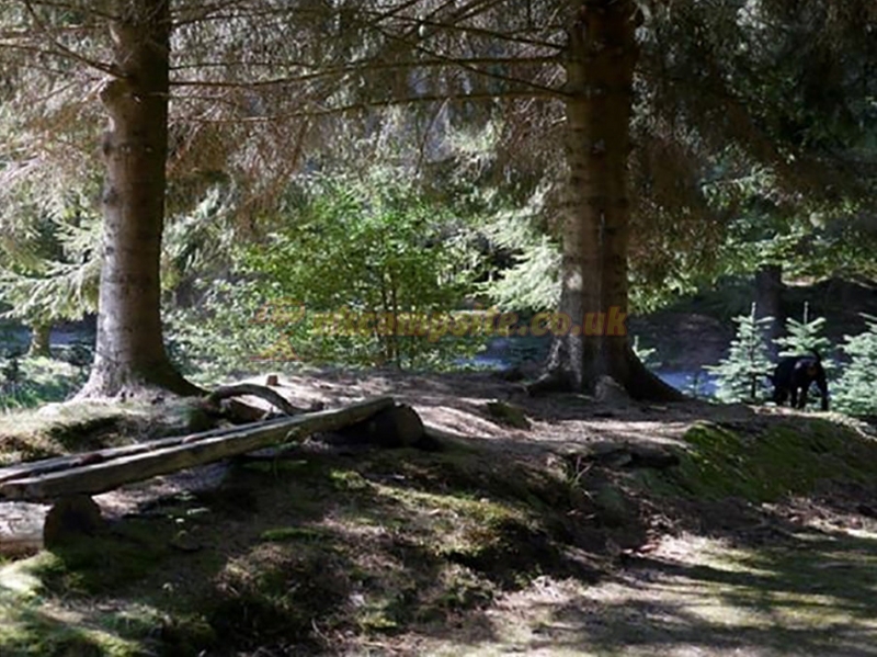 Noble Wood Camping