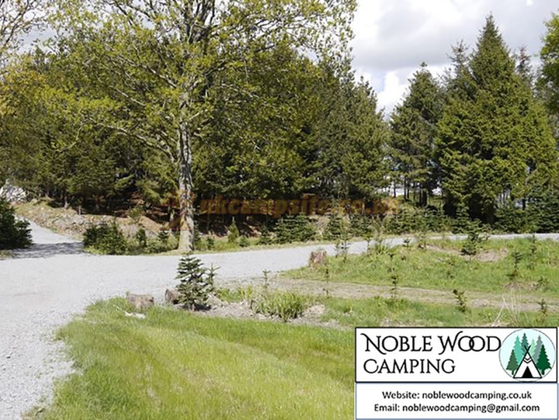 Noble Wood Camping