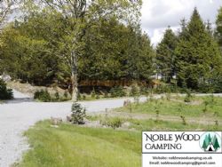 Noble Wood Camping
