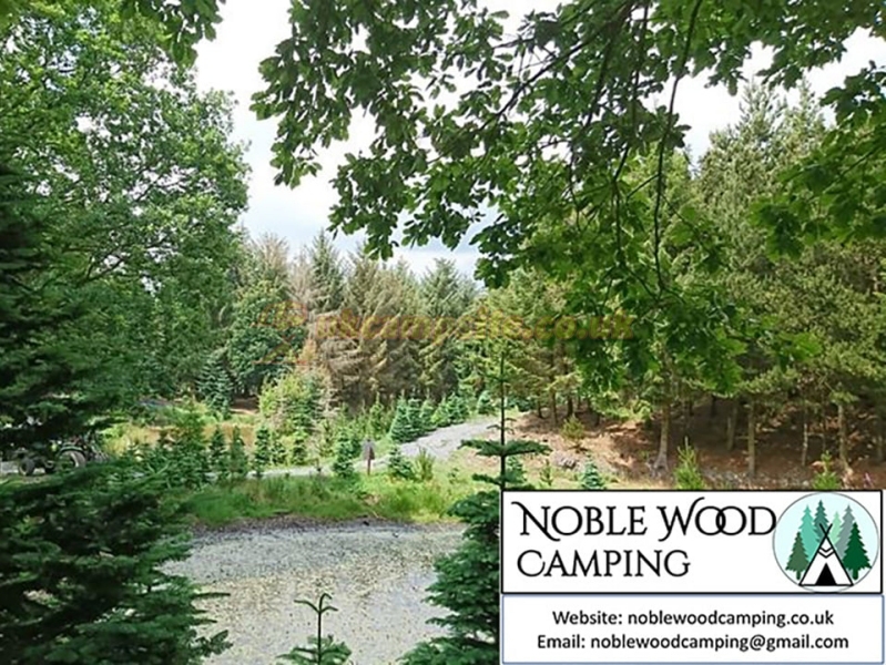 Noble Wood Camping