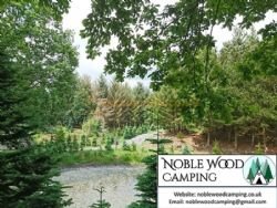 Noble Wood Camping