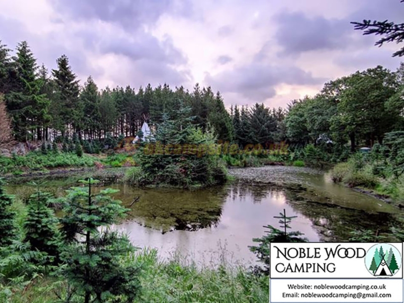 Noble Wood Camping
