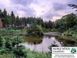 Noble Wood Camping