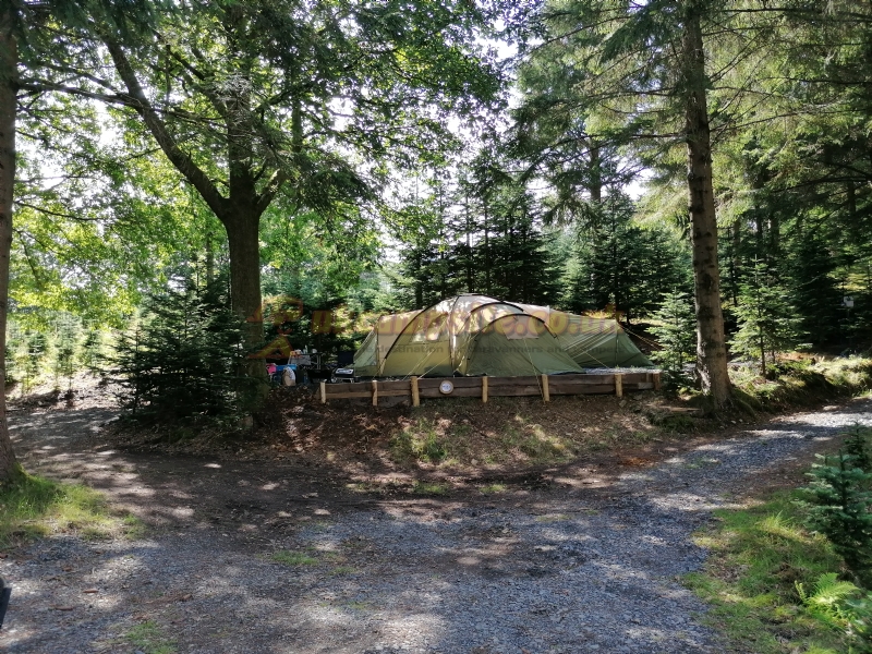 Noble Wood Camping