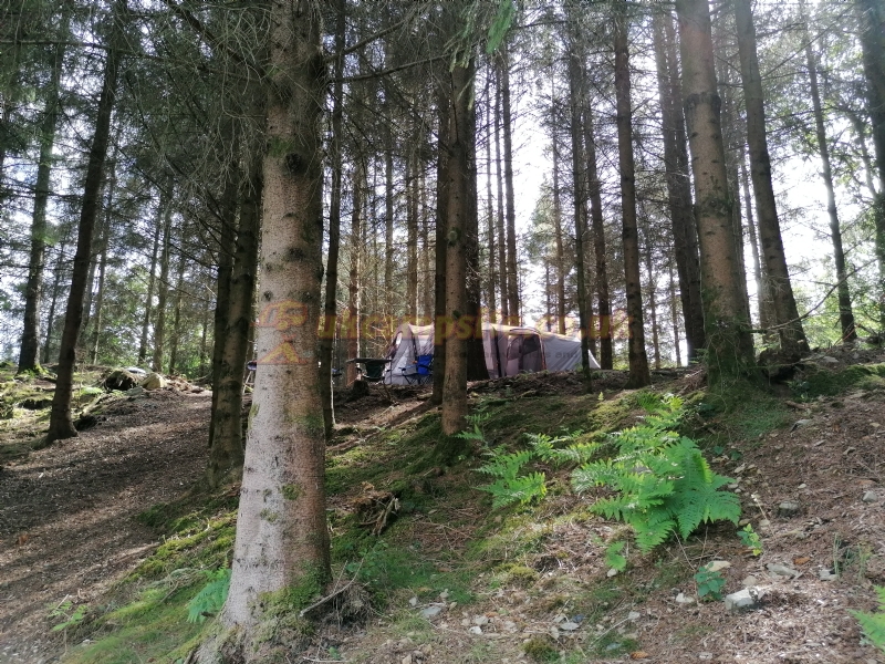 Noble Wood Camping