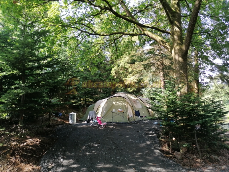 Noble Wood Camping