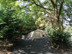 Noble Wood Camping